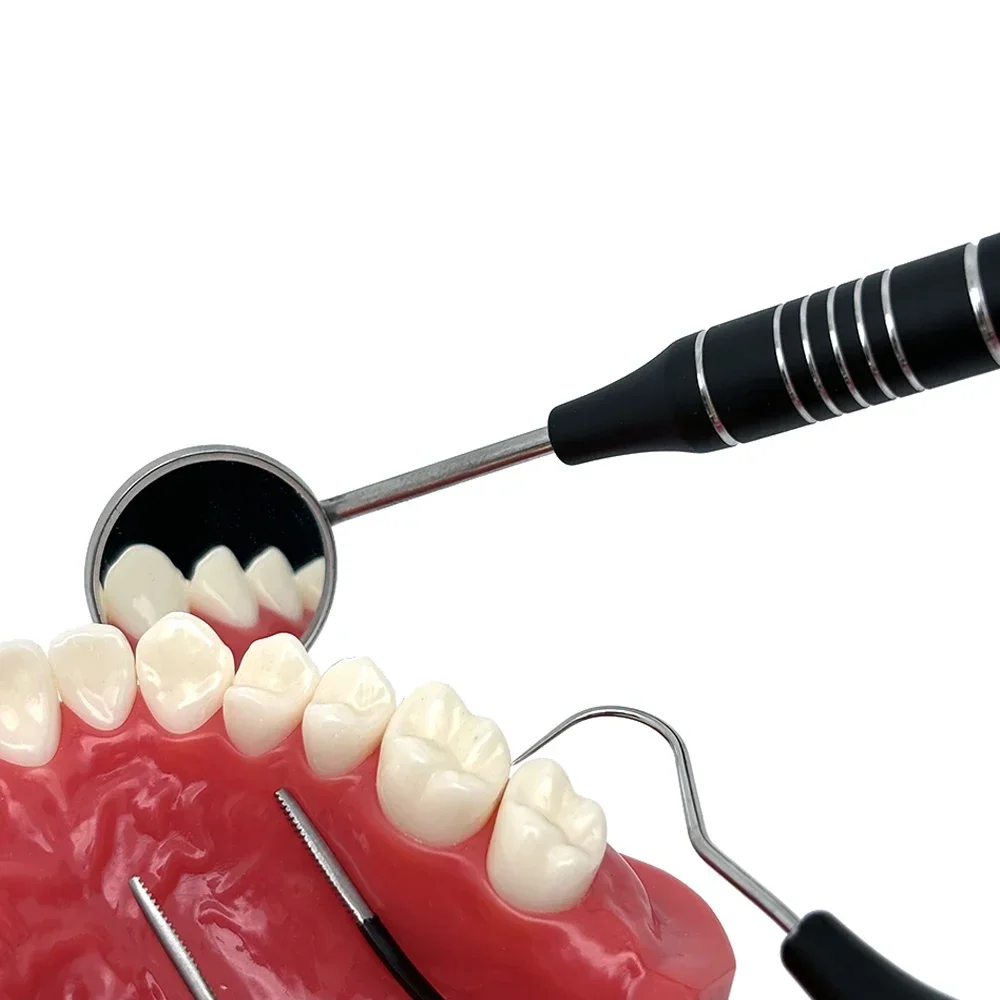 ชุดตรวจสุขภาพช่องปาก สแตนเลส 3 - Dental Mirror Probe บทวิจารณ์และราคา